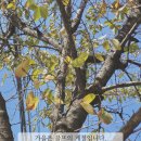 VSE 영 골프 이미지