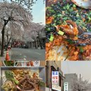 목포세발낙지 | 서촌 벚꽃뷰 산낙지 블루리본 맛집 목포세발낙지 내돈내산 방문 솔직 후기