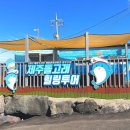 제주휠체어투어 Daum카페