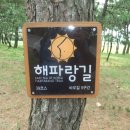 제287회 4월20일 강원도 강릉 바우길5코스 13km 이미지