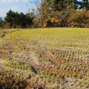 남해-280 이미지