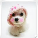 선주고등학교 이미지