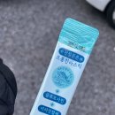 마리네 동물병원 이미지