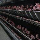 철원동물약품 이미지