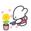 아이티빌 이미지