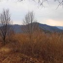 백세공원 이미지