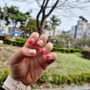 리도206호선 | 전주 송천동 네일샵 온오프네일 내돈내산 찐 방문 케어 후기