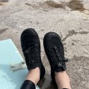 세빈분식 | 물놀이가 반인 8월달 🐋