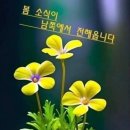 행복미소(주) 이미지