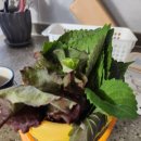 외동팜 | 2025 김해 대감 마을 리틀 포레스트 팜 체험 후기