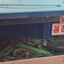 어화생선구이산꼼장어