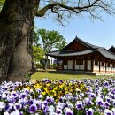 능주면 행정복지센터 이미지