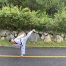 봉황태권도 이미지