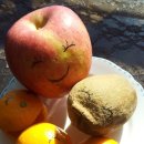 지성농장 이미지