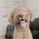 수현주식회사