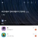 부산 홍수 도와주세요.kakaotalk 이미지