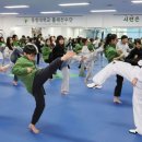 한반도태권도 이미지