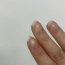 선릉네일샵 디아나네일 이달의아트 후기 (봄네일 추천)