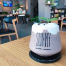 D+84 산동대학교 위해 교환학생 12주차