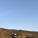 엠지신라