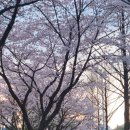 1948 | [내돈내산] 원주 커피 카페 아라비카1948 후기