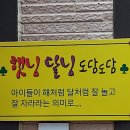더블스테이쁘띠로키즈풀빌라