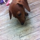 폴리파크지산점 이미지