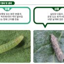 글로벌방제 - 남구 용연로 295-109 | 글로벌방제