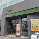 발산역 6번출구 | 숲 속 느낌 가득한 서울 강서구 발산역카페 어나더사이드 내돈내산 후기