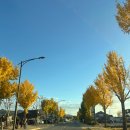 동그란 멍멍이 | 경주일상 경주월드 통일전 은행나무, 경주박물관 금관, 대릉원, 녹음제과