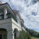 장꽁(카멜리아) 이미지