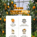 방가네농장 이미지