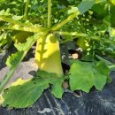 래미안 금정 태권도 이미지