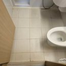 아이파크 | 울산 줄눈 약사아이파크 화장실 시공후기
