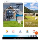 여수 도그펄슨 애견수영장펜션 | 여수 애견동반 펜션 도그펄슨 수영장 샤워장 운동장 완비