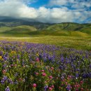 자연과  건강 이미지