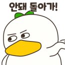세종크리닝