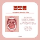 [11월 후반] 특별할 것 없는(?) 우당탕탕 내 일상🤪