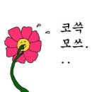 메이네일 - 마포구 망원로6길 21 | 메이네일