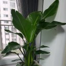 수봉농원 이미지