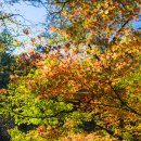 은행나무목장 이미지