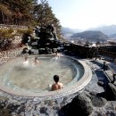 보양산업자원 이미지