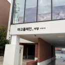 마고플레인아양