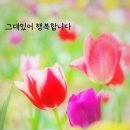 서경방님들!!! 4월22날(토요일)은 중년카페 제10회 전국정모날 입니다. 이미지