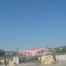 라빈드라나드 타고르: 범세계주의자의 예술과 사상 | [광주] 국립아시아문화전당 전시 관람 @ 은유의 생생후기