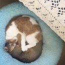 옹기종기 이미지