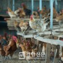 도동농장 이미지