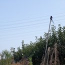 경기도 수원시 영통구 봉영로 이미지