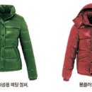 뚱보오리 네이버블로그