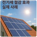 우리냉동태양광발전소 | 태양광 패널 전기세 절감 효과 실제 사례 보기